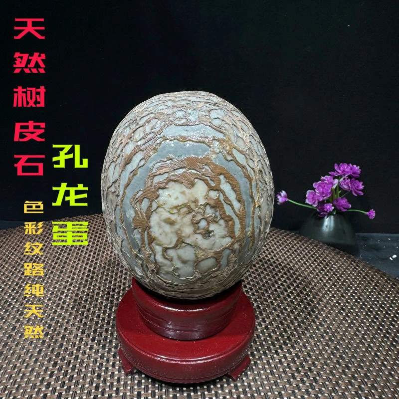 天然结核纹石孔龙石蛋树皮石蛋原石摆件观赏石奇石收藏