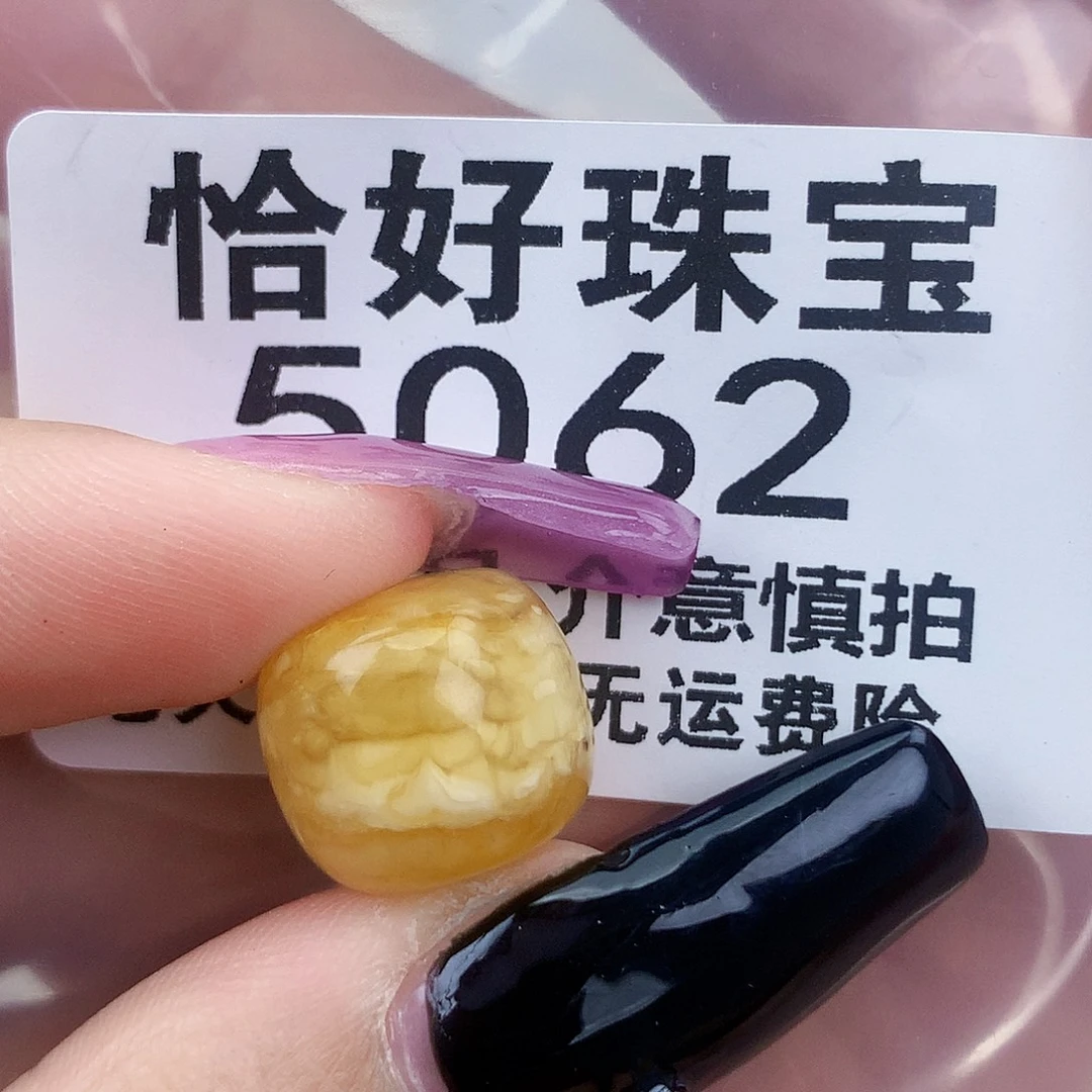 琥珀未镶嵌珠宝奇石13.8×12.2植物，坑