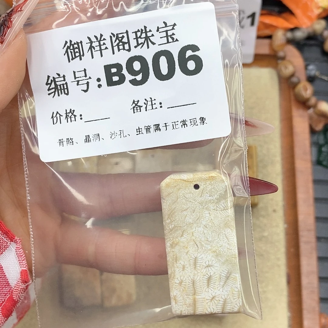 硅化珊瑚（珊瑚玉）颈饰未镶嵌冬*