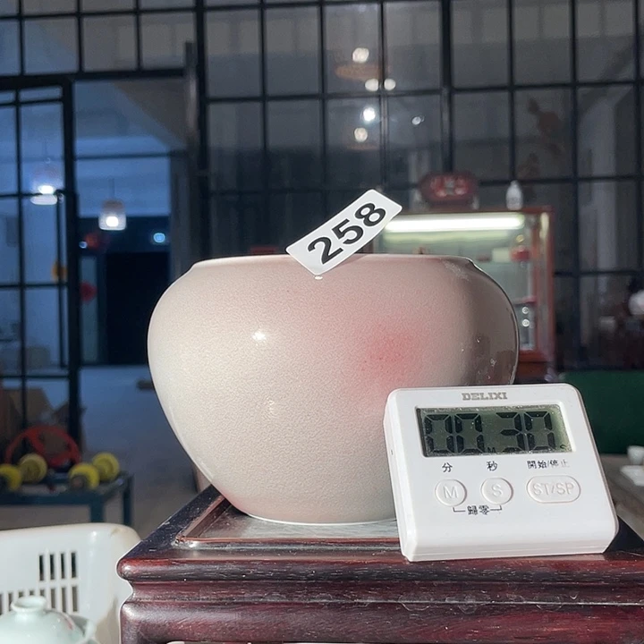 瓷片P****?258 and the