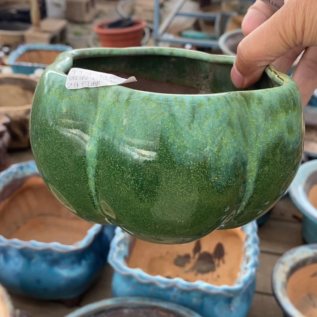 62号多肉盆口径11瑕疵