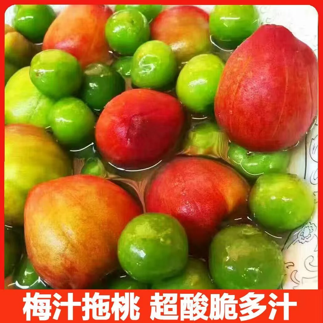 潮汕青芒果酸野拖桃拖李腌制水果生吃酸甜脆爽梅汁甘草水果小吃