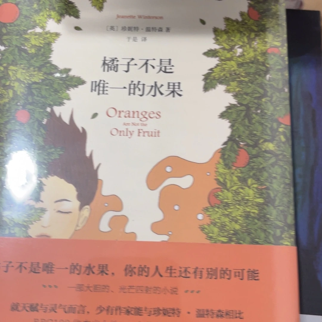 橘子不是唯一的水果