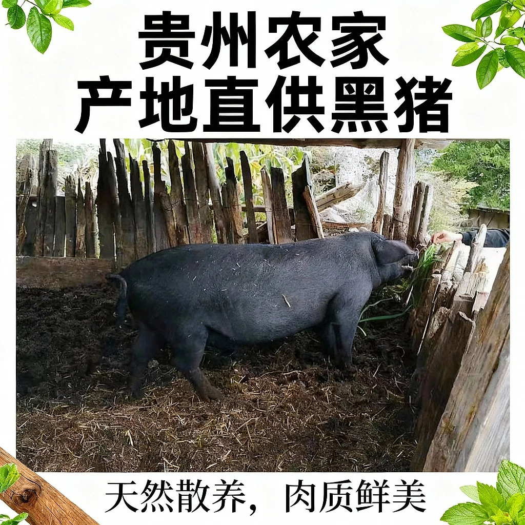 （1）贵州农家黑土猪肉-（现称改价）重量以直播间为准