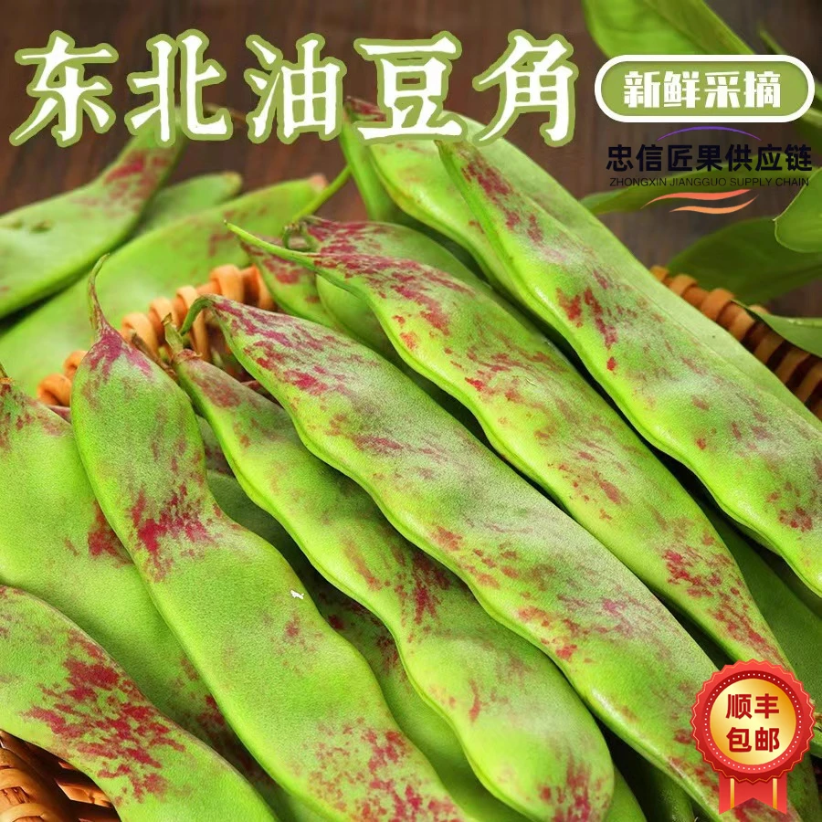 【顺丰】正宗东北油豆角新鲜蔬菜一点红豆角九月青现摘现发开锅烂