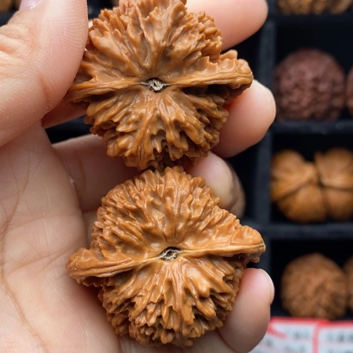 A***刷核桃44尺全品满天星