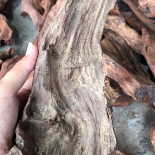 其他黄花梨/降香黄檀