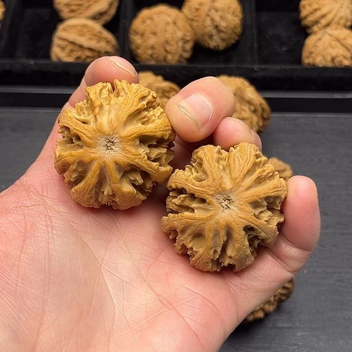 高***水核桃秦岭突突突突突突突