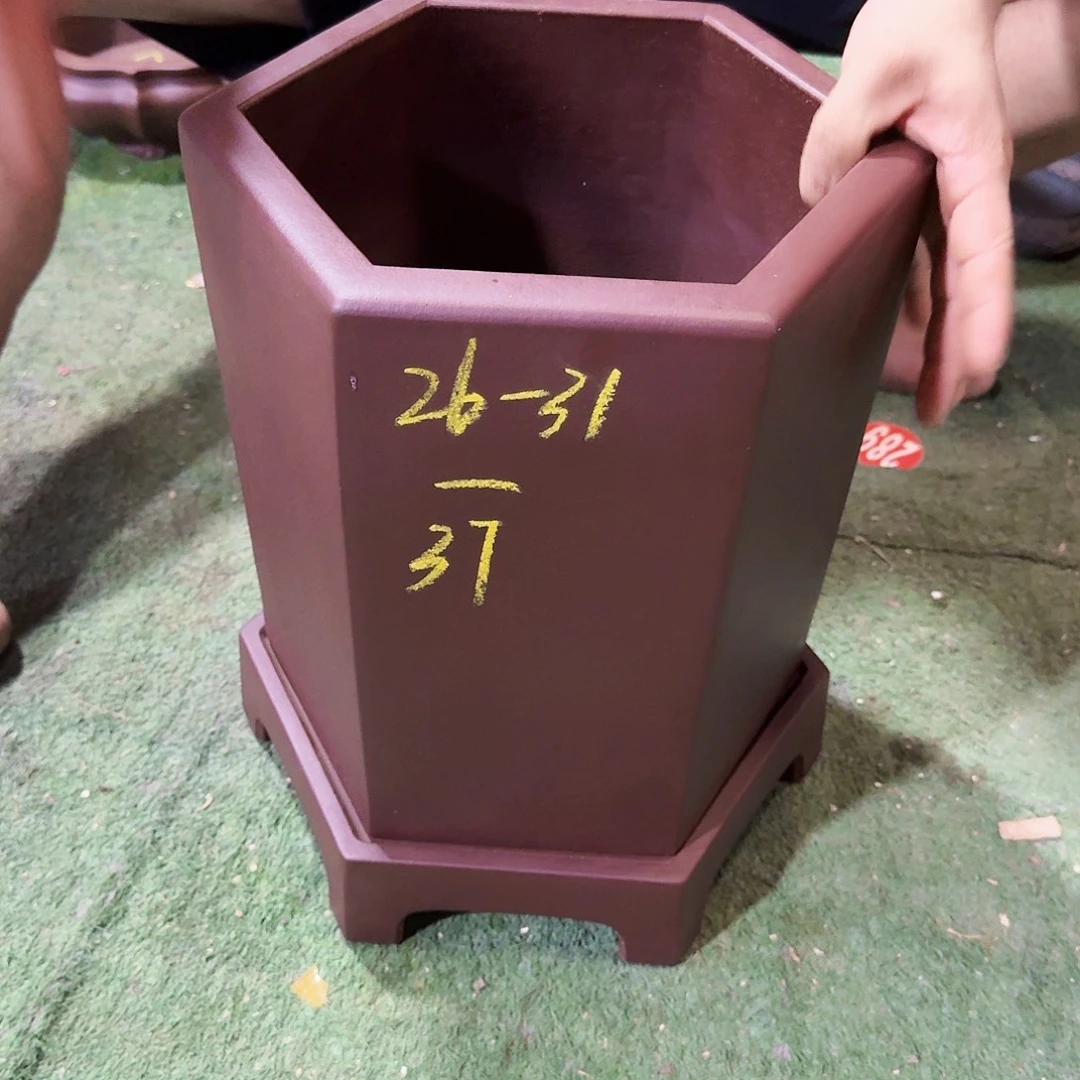 紫砂花盆紫砂花盆