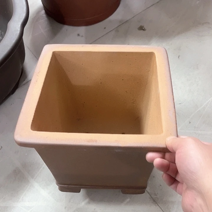 紫砂花盆这个世界上最好的