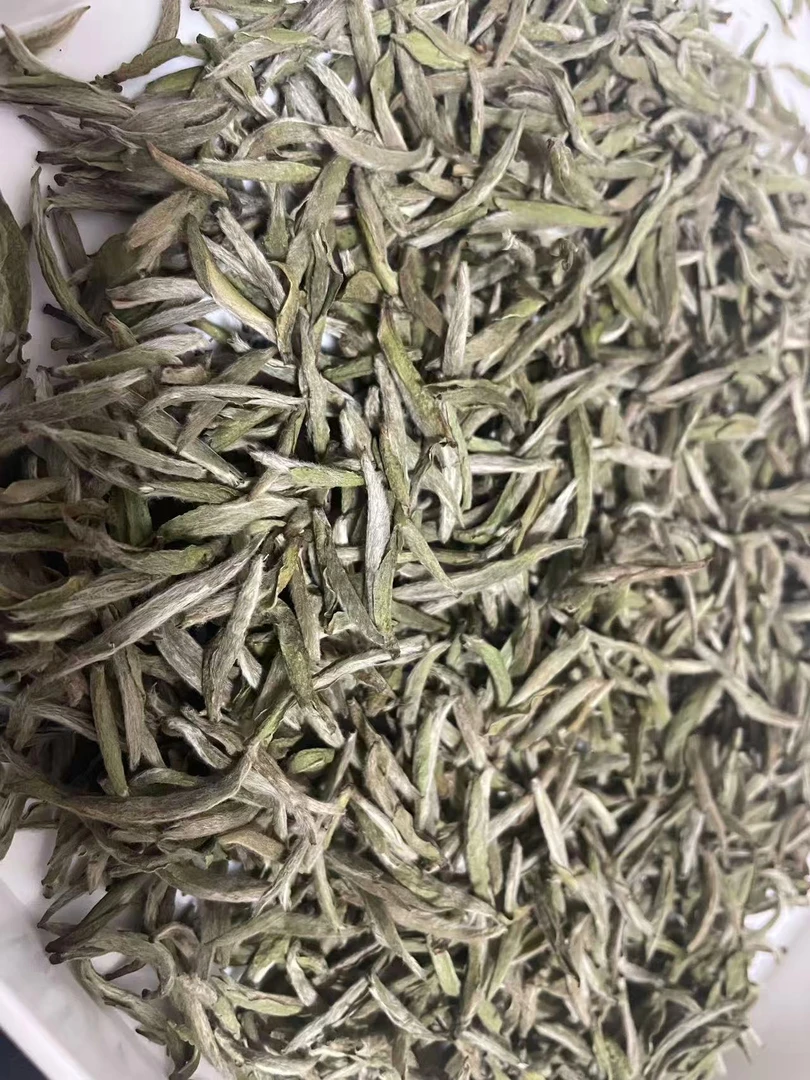 2025年首日芽白毫银针