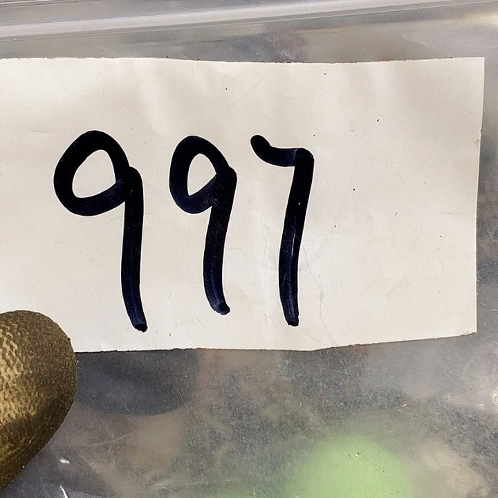 梦***分最美古村专属链接