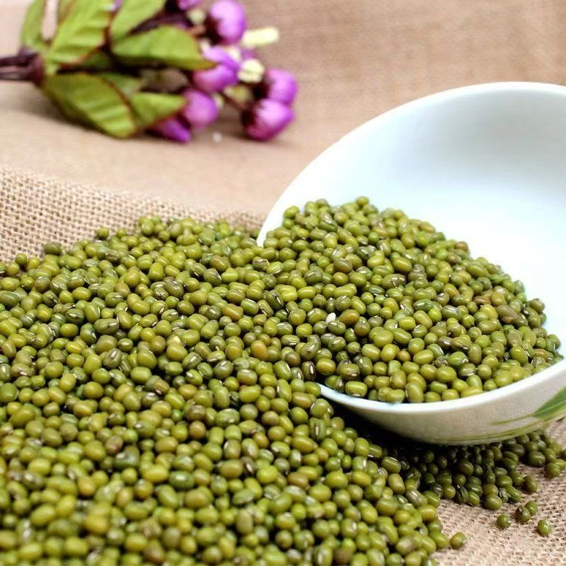 农家新绿豆易出沙易熟可做绿豆汤绿豆糕解暑佳品
