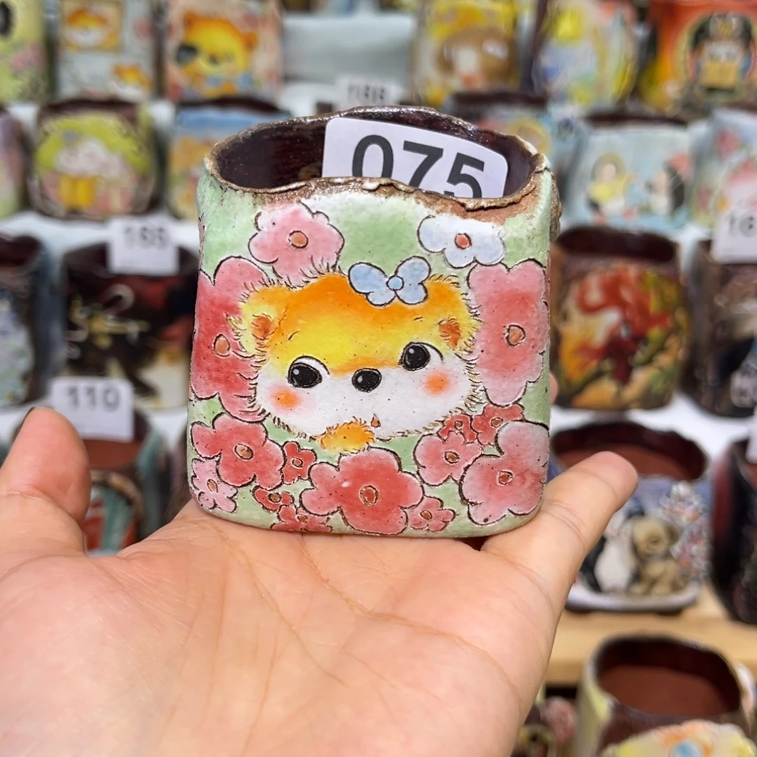 彩****075专拍一个盆@@@@@