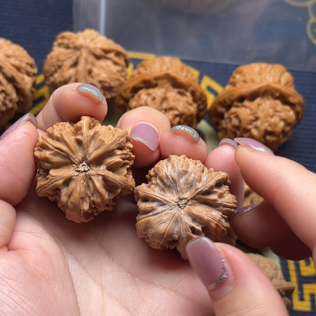 向***啊核桃玉龙粗筋文山32