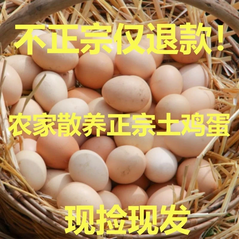 正宗农家土鸡蛋散养草鸡蛋山林笨鸡蛋孕妇儿童早餐高营养蛋整箱