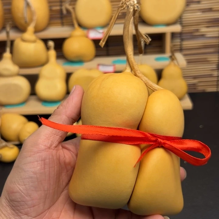 龙**丶223556658556669