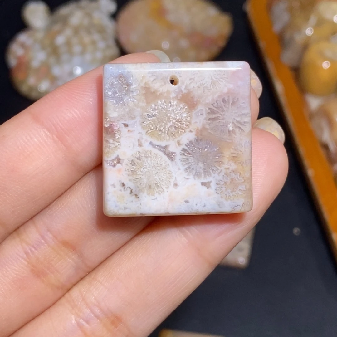 【闪购商品】硅化玉珊瑚玉未镶嵌