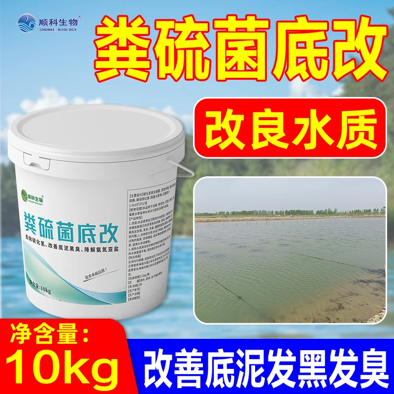 粪硫菌底改养殖水产调水改底颗粒改良底质底泥黑臭降低氨氮净水调