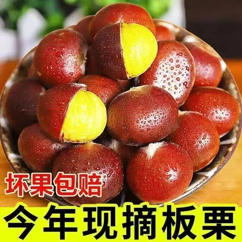 【买3斤送2斤】新鲜现摘老树板栗清脆甘甜鲜香生栗子产地直发