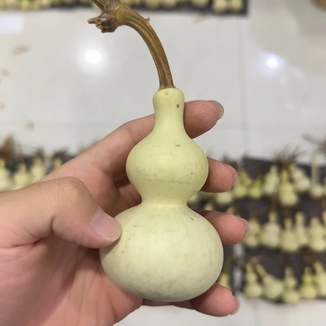 伯***1葫芦vhvbvnbnnsnzzn