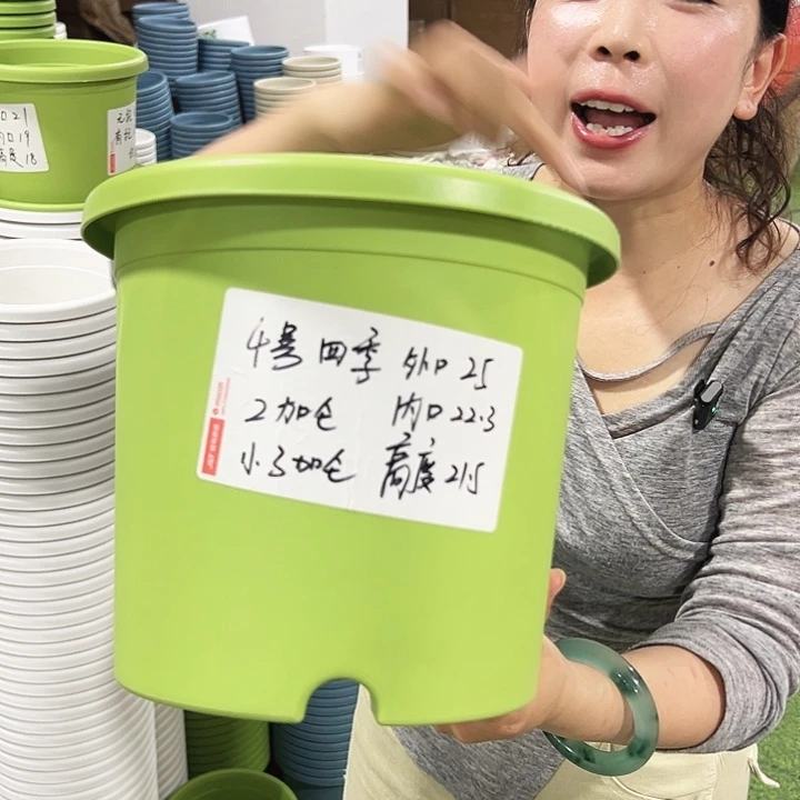 特价4号四季口25高21.5果绿8只无托