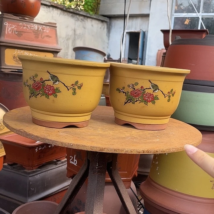 黄色鸟语花香小一对花盆紫砂
