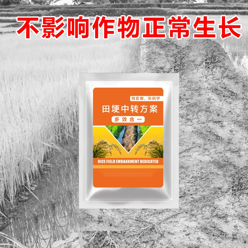 1田埂使用不影响农作物正常生长水稻喷雾有机质肥料