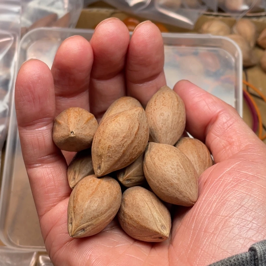 渔***鸽手串/手链橄榄核1