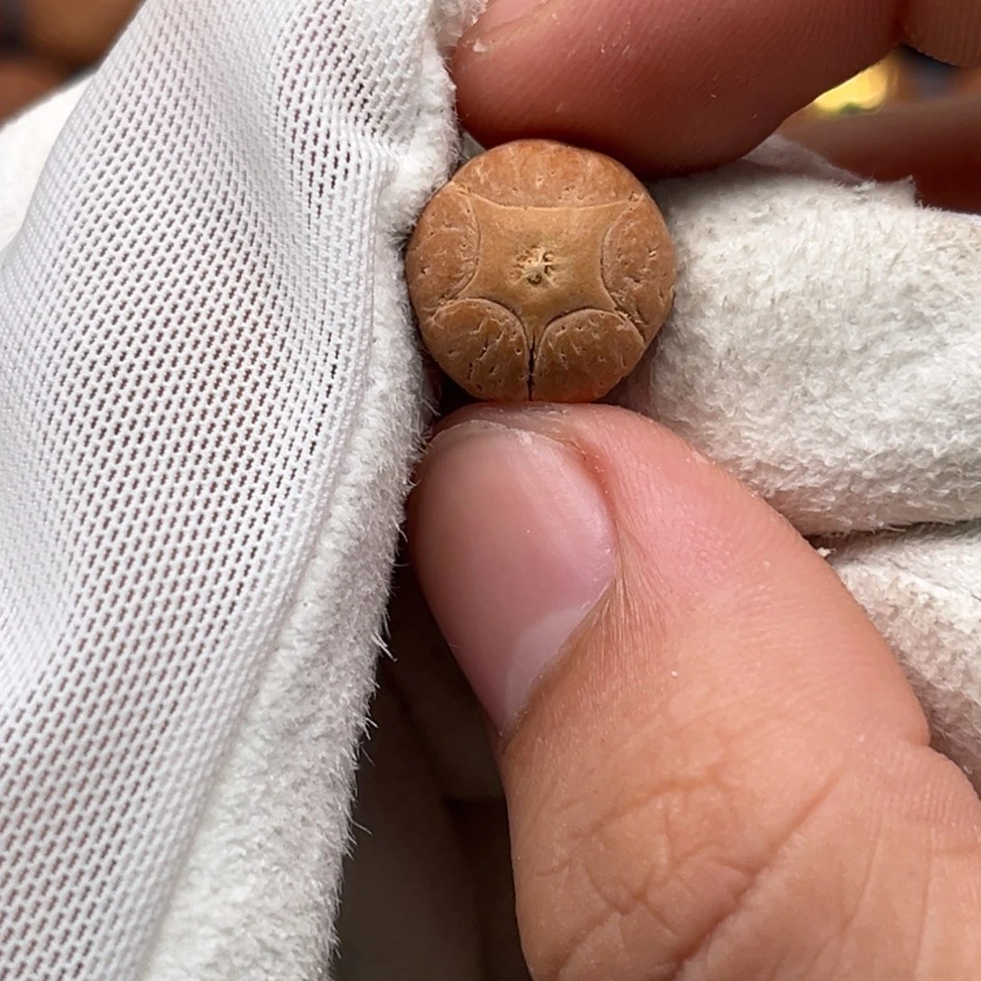 吊坠凤眼菩提福利5星有裂14mm