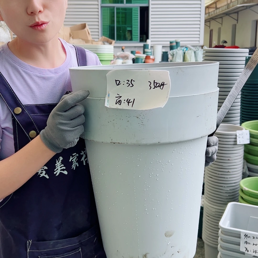 瑕疵月季盆350#灰白4个无托