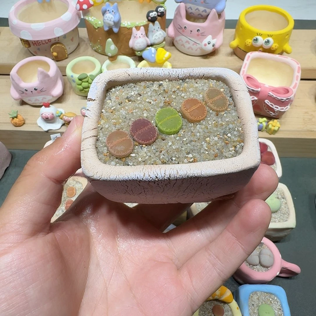 蘑菇116彩拼彩拼