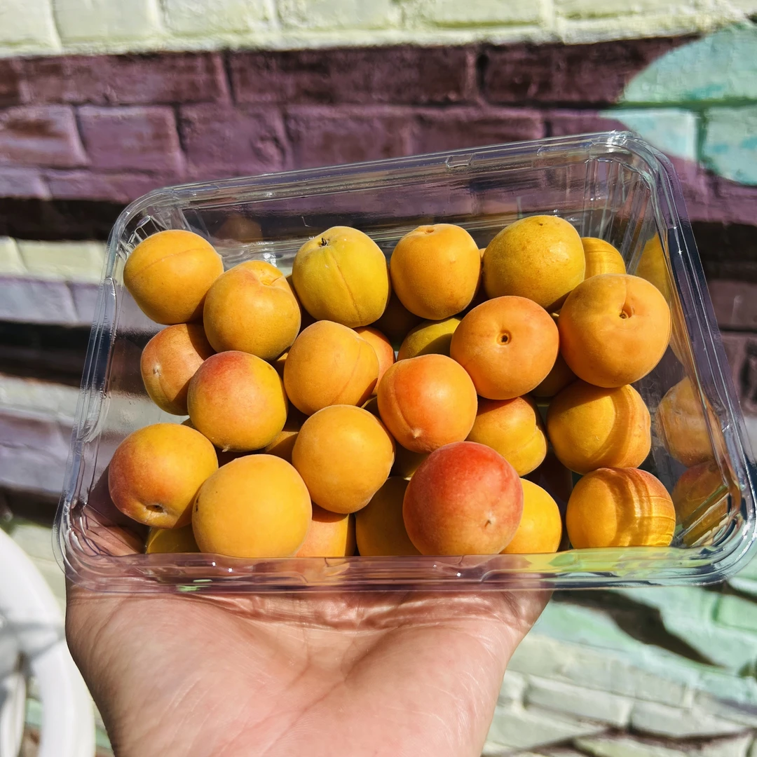 【磊哥心选】新疆吊干杏一盒1斤左右