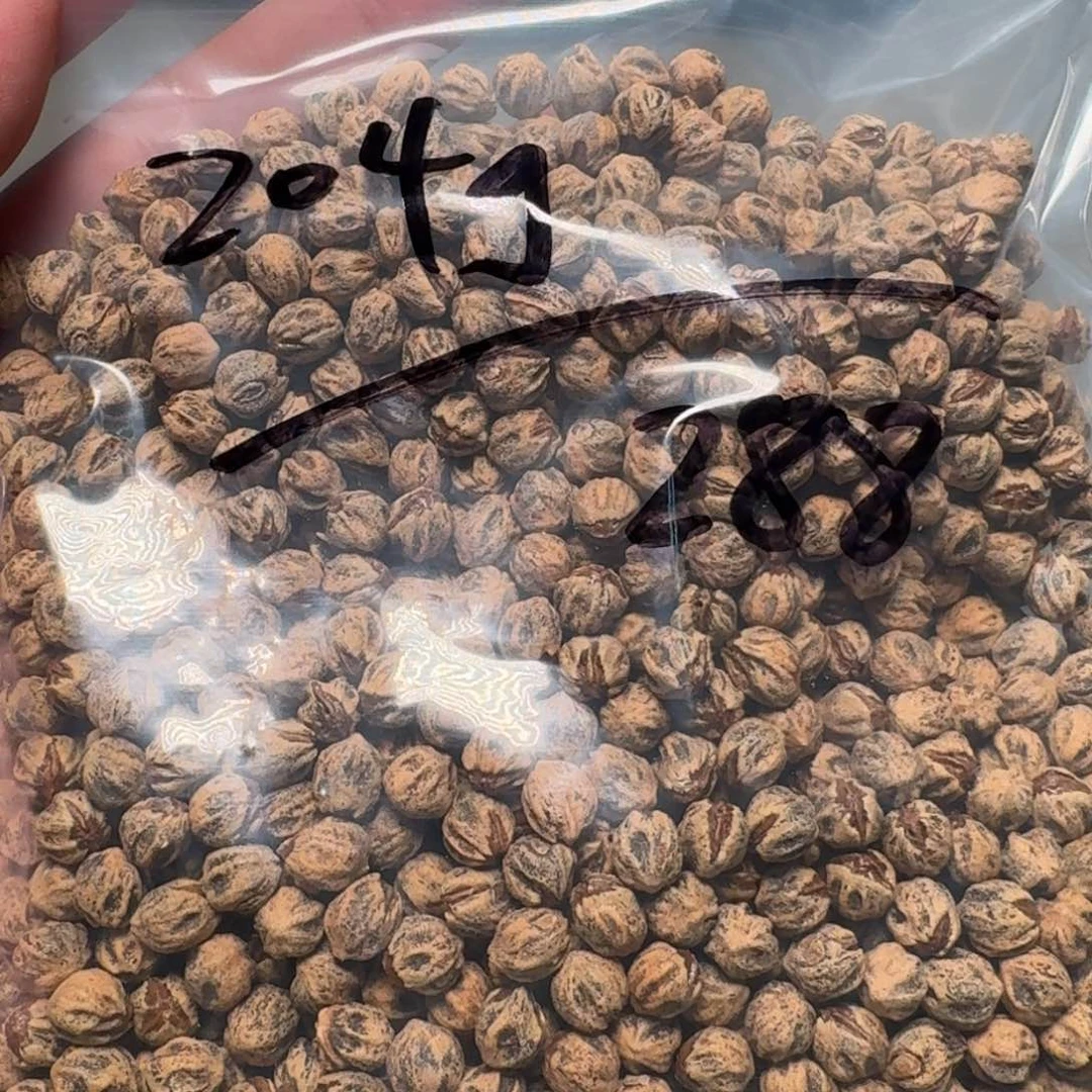 吊坠柏香籽/百香籽漠*理