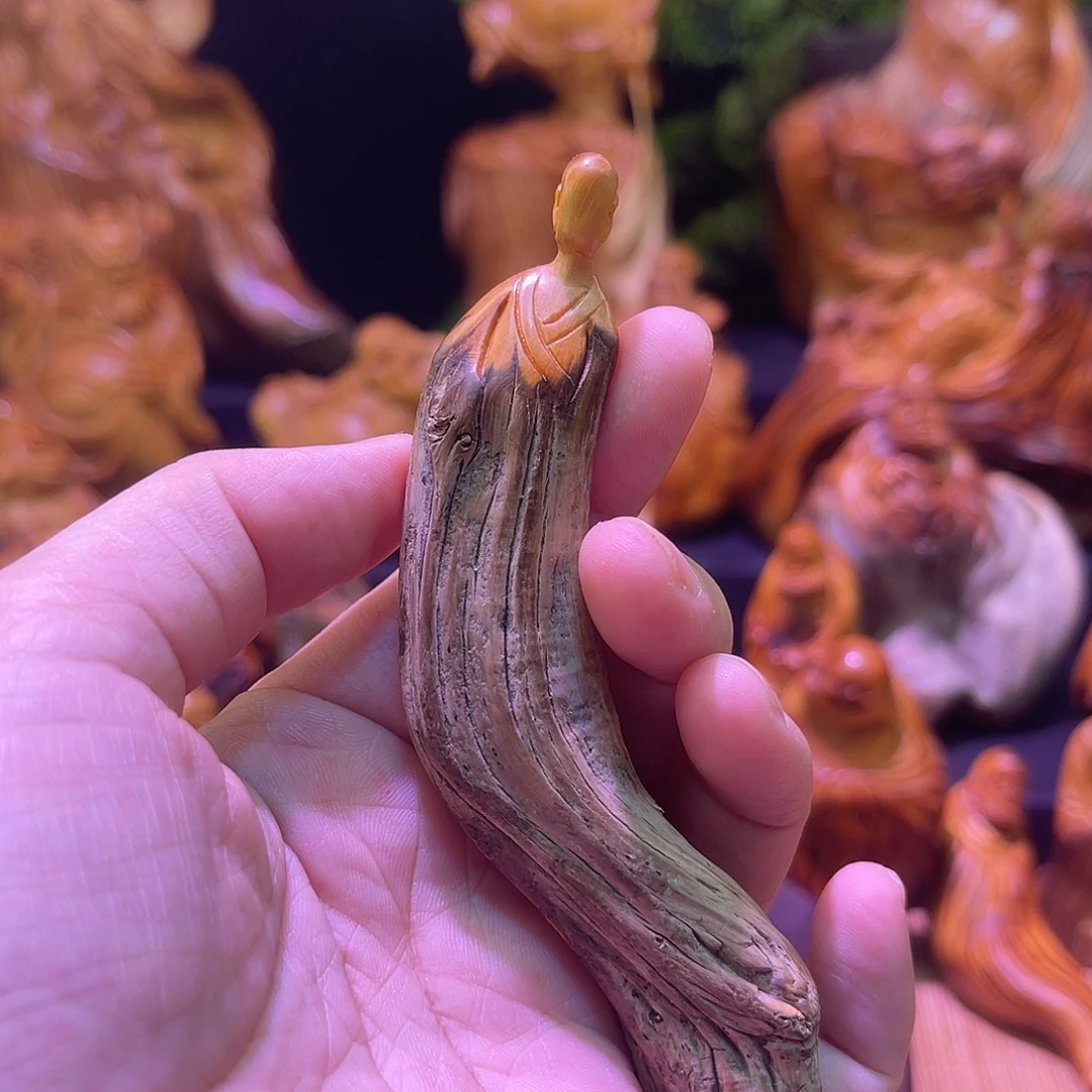 柏木88888888888888888