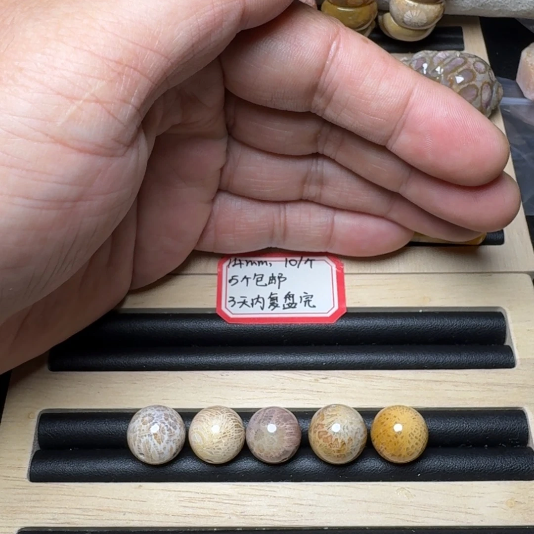 素***素硅化珊瑚（珊瑚玉）未镶嵌纯天然色有机玉石保真色