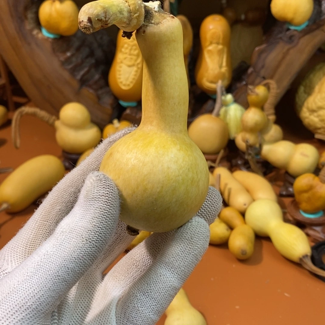 王***珠哭了教练咯教练咯