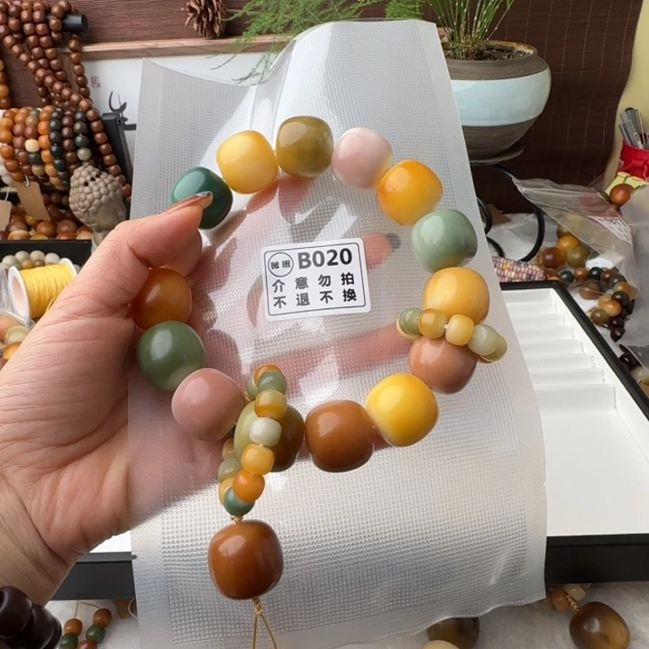 菩提根/象牙果手串鸟****?B020