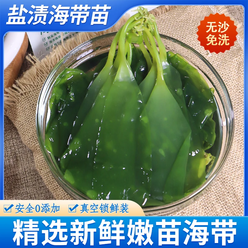【主播专属】霞浦深海盐渍海带嫩苗海带芽火锅菜无沙嫩火锅凉拌菜