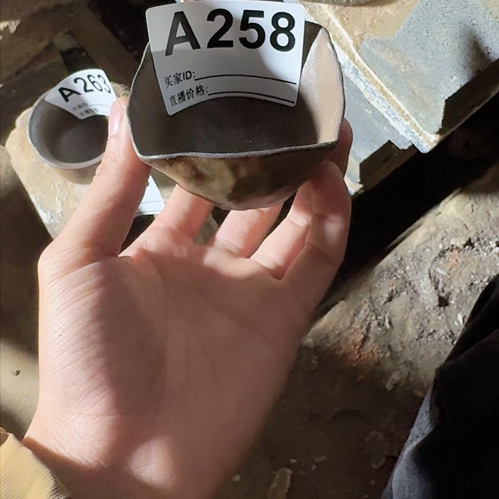 紫砂茶壶坭兴陶柴烧