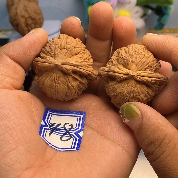 文玩核桃把件40白狮子（瑕疵）