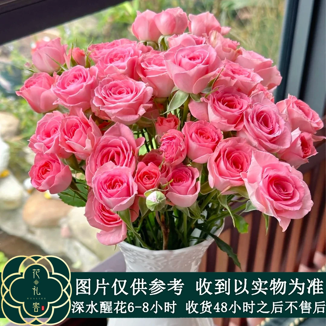 七叶花坊# 【高雅爱人】鲜花优选 顺丰直发