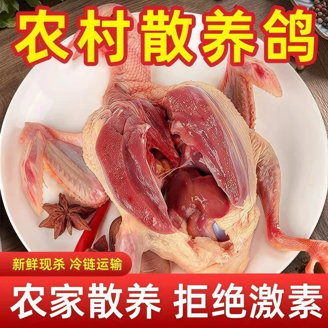 【现宰现杀】农家散养飞天鸽老鸽子信鸽白条鸽肉质鲜美营养丰富乳鸽