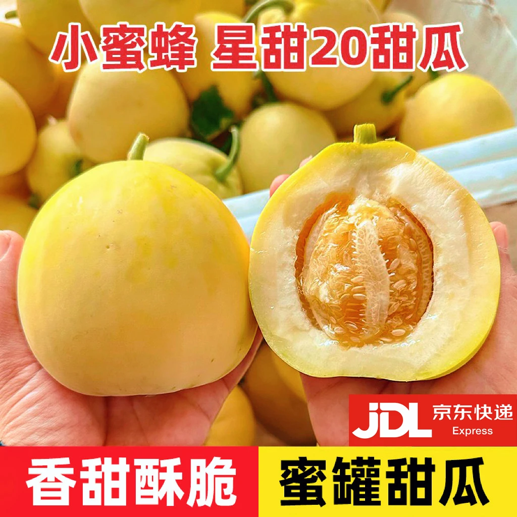 【果园直发】【新鲜脆甜】头茬小蜜蜂星甜20甜瓜应季现摘冰糖小蜜罐