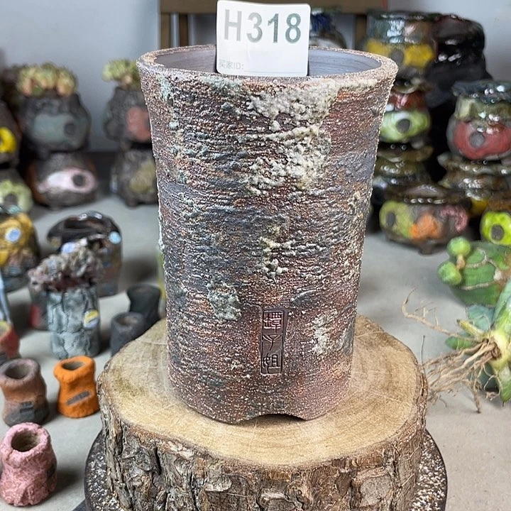 块根盆  球盆 哈哈哈哈哈哈