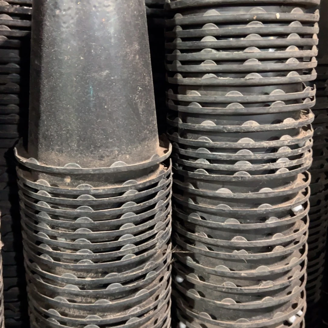 花边兰花万象盆12口径13高 20个