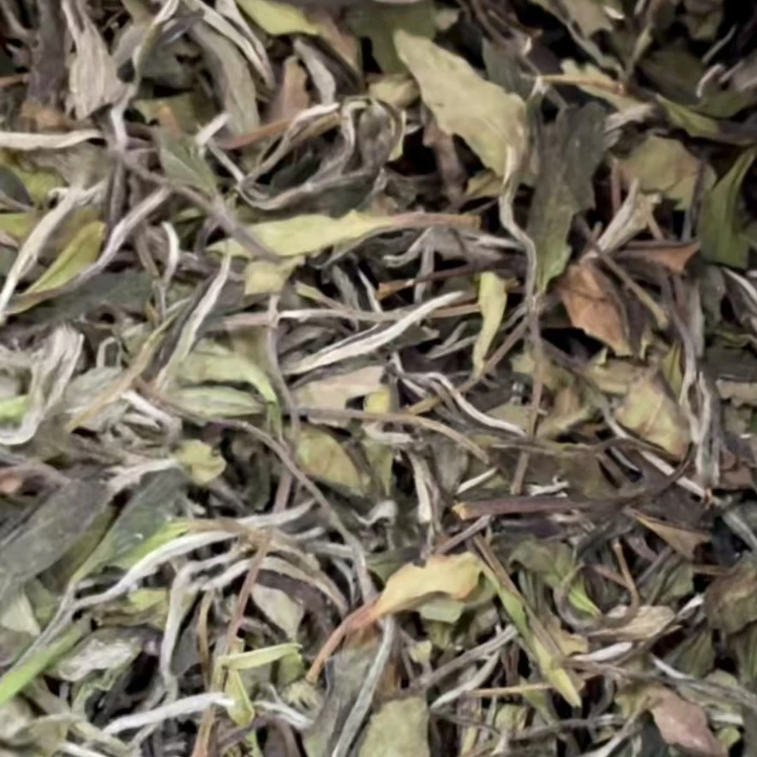 临时链接 看直播 2025年老枞寿眉散茶
