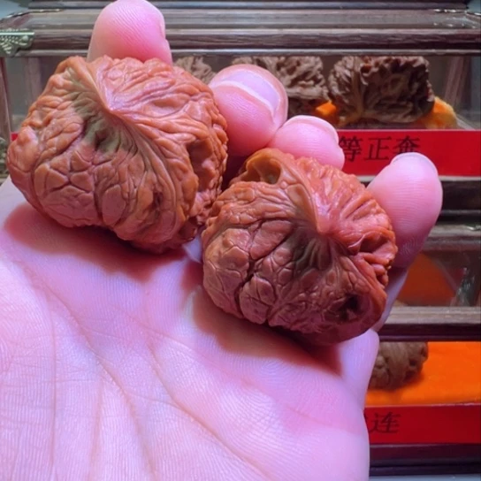 我**山官帽蛇头36边36高34肚