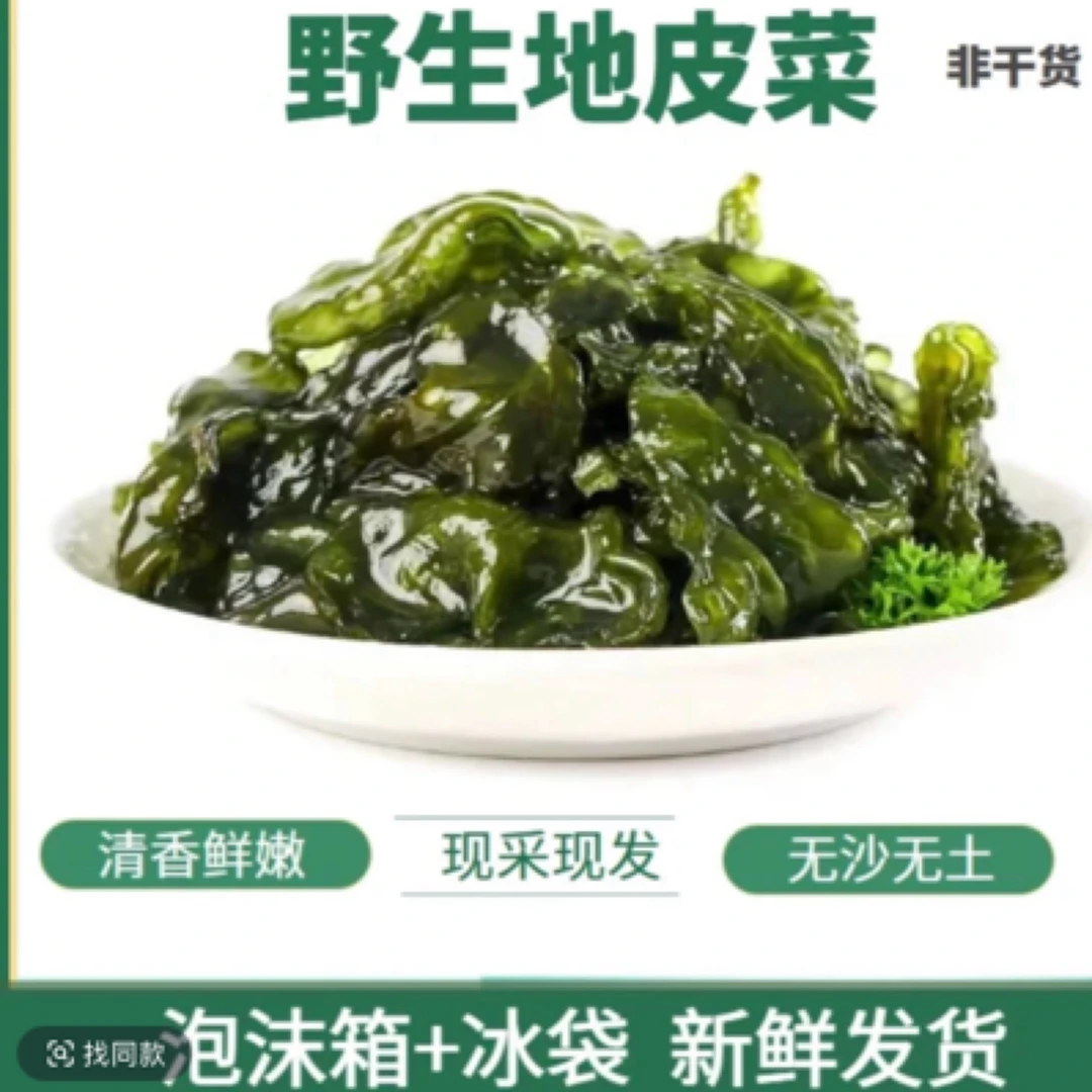 湖南湘西野生地皮菜