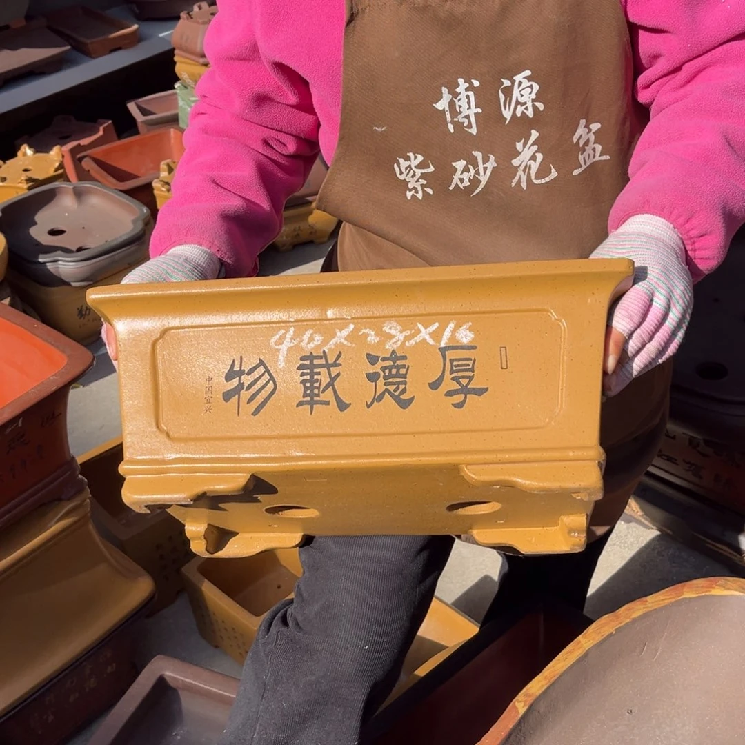 花盆紫砂盆景艺术